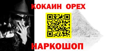 СК Шахты