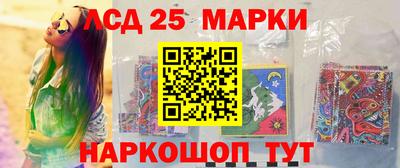 СК Шахты