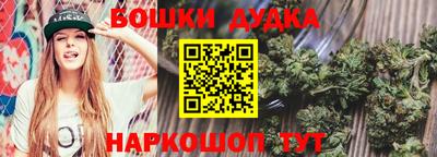 СК Шахты