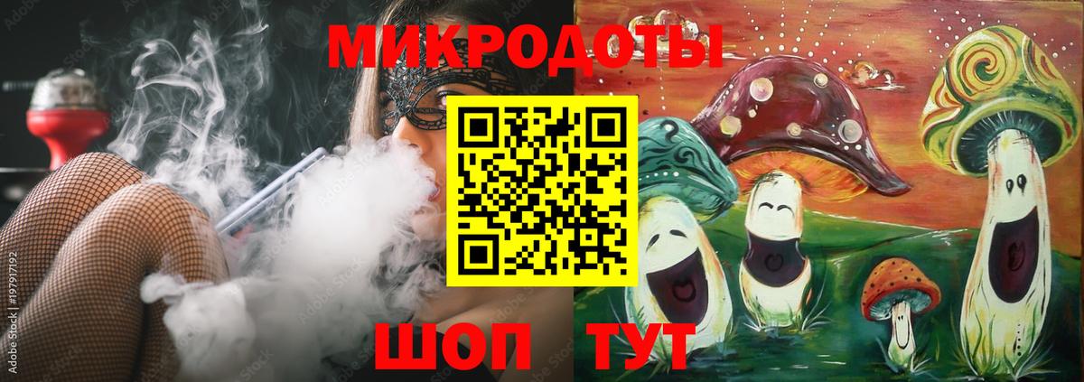 Псилоцибиновые грибы Psilocybe Краснокамск