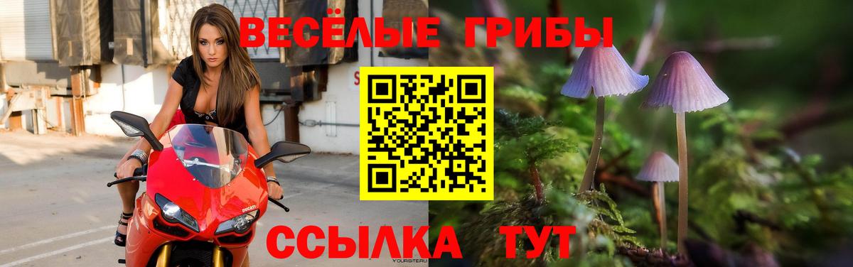 Галлюциногенные грибы GOLDEN TEACHER  Вход с VPN  закладки  Галлюциногенные грибы Magic Shrooms  Краснокамск 